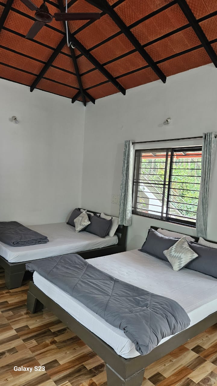 Representative view of the stay 1