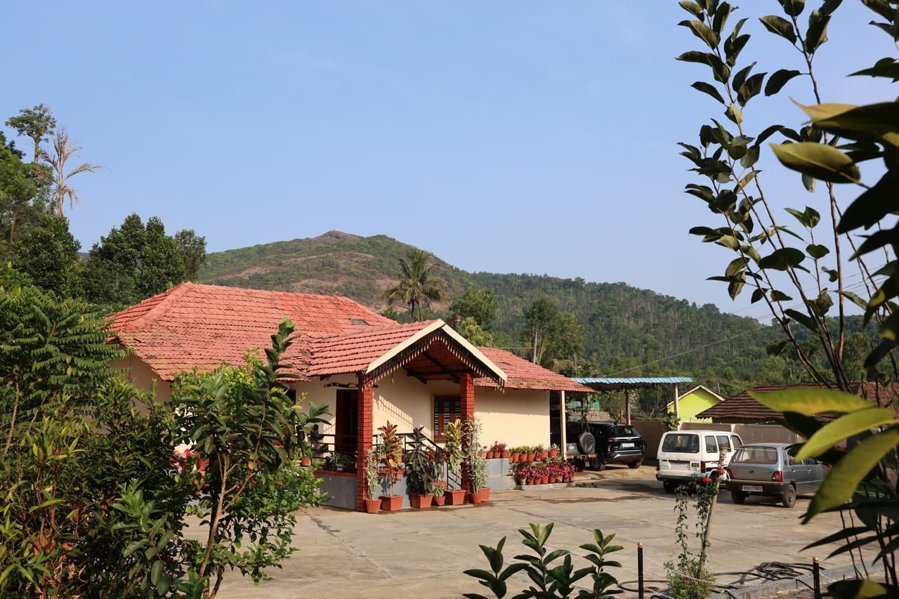 Representative view of the stay 2